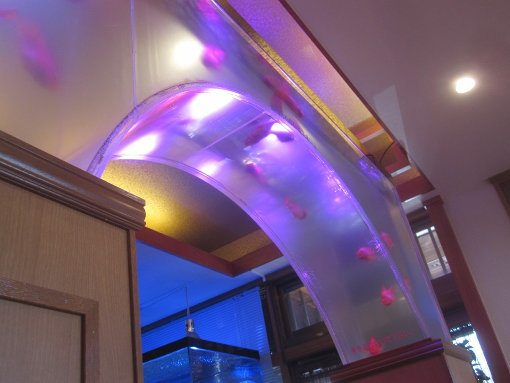 紫色の照明に照らされた回廊のような水槽