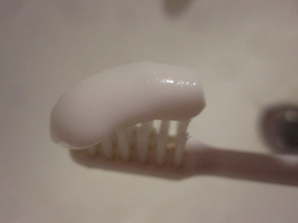 歯ブラシに歯磨き粉（ガム・塩味）を出した