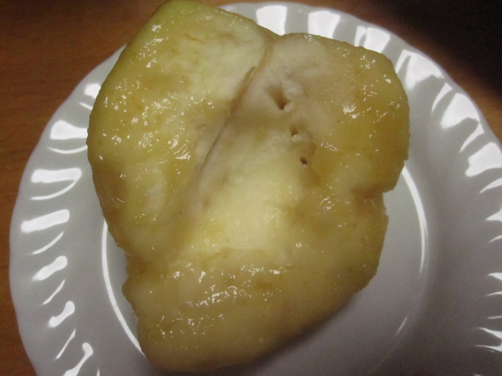 完熟を過ぎた桃・梨のような外見のシロサポテの果実