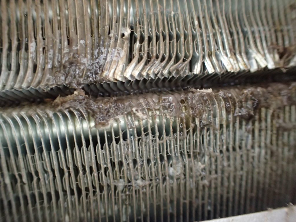 エアコン内部に溜まり湿気でカビまで発生した状態の写真