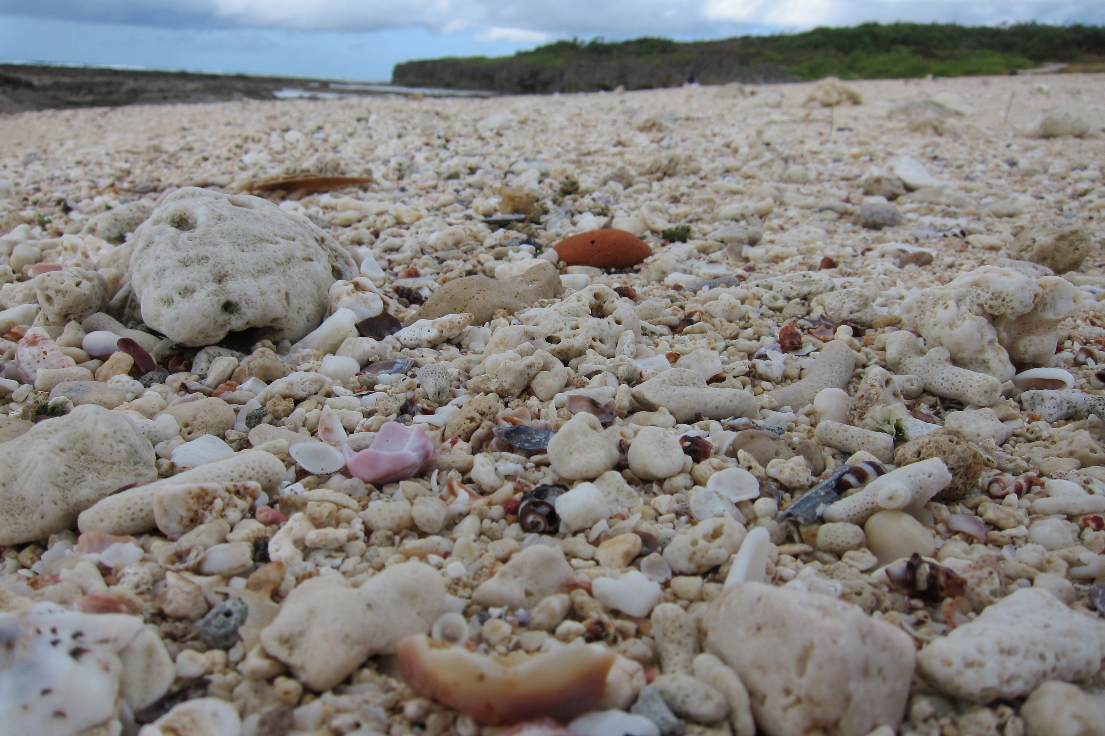 沖縄の海岸で採取禁止なのはサンゴだけじゃない 割れたガラス片のビーチグラス シーグラスも同じ扱いですよ レキオ日記