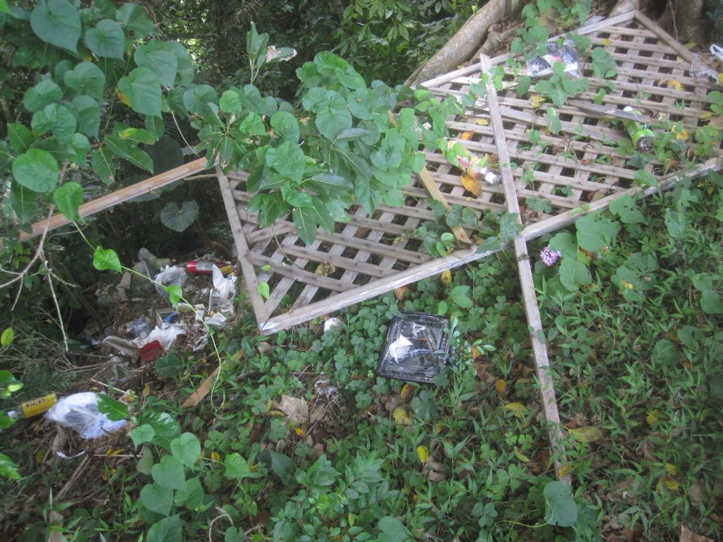 不法投棄されたゴミが散乱され放置された公園の一部