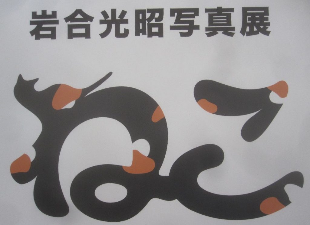岩合光昭ネコ写真展のロゴ