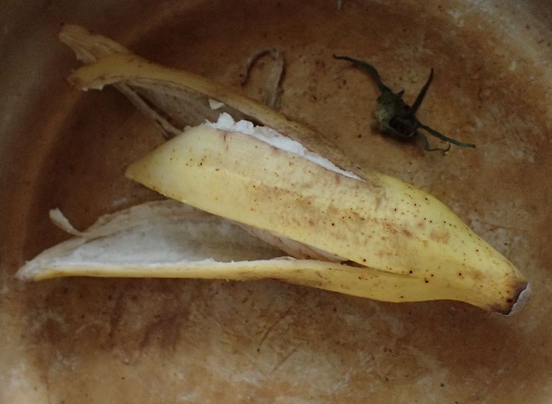 生ゴミとして処理される島バナナの皮